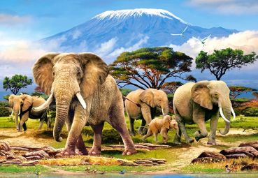 Пазл Castorland "Утро Килиманджаро. Слоны" 1000 деталей