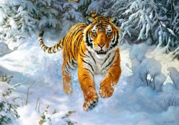 Пазл Castorland "Амурский тигр" 500 деталей
