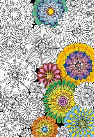 Пазл-раскраска Educa "Цветы" 300 деталей