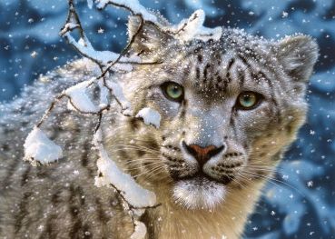 Пазл Castorland "Снежный леопард" 1500 деталей