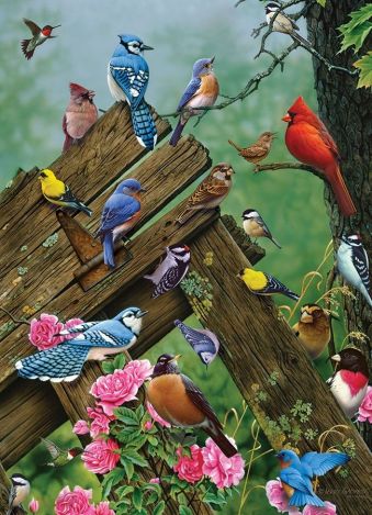 Пазл Cobble Hill "Лесные птицы" 1000 деталей