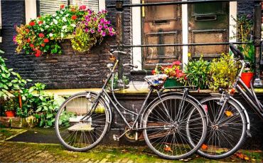 Пазл Pintoo "Велосипеды. Амстердам" 1000 деталей