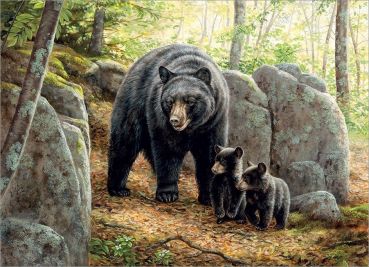 Пазл Cobble Hill "Медведица с медвежатами" 1000 деталей