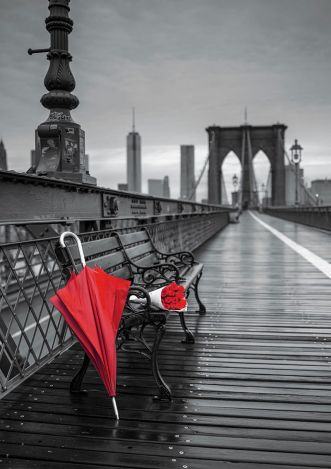 Пазл Educa "Красный зонт, Бруклинский мост" 1000 деталей