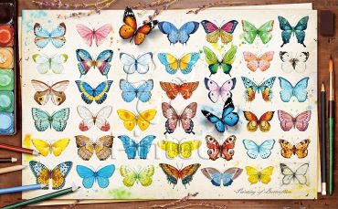 Пазл Pintoo "Коллекция бабочек" 1000 деталей