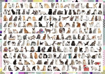 Пазл Trefl "208 кошек" 1000 деталей