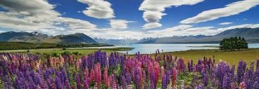 Пазл-панорама Heye "Цветы на озере Текано" A. von Humboldt 1000 деталей