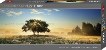 Пазл-панорама Heye "Игра света" A. von Humboldt 1000 деталей