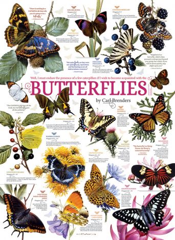 Пазл Cobble Hill "Коллекция бабочек" 1000 деталей