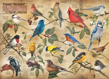 Пазл Cobble Hill "Виды садовых птиц" 1000 деталей