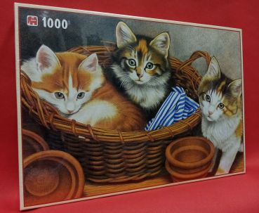Пазл Jumbo "Кошки" 1000 деталей