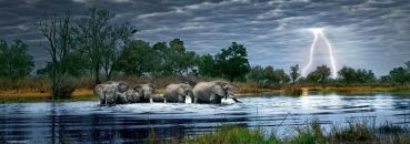 Пазл-панорама "Стадо слонов" 2000 деталей